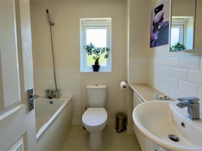 Picture 23